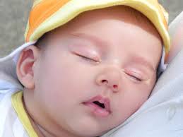 Gold Coast Bulletin 2014 Baby Book