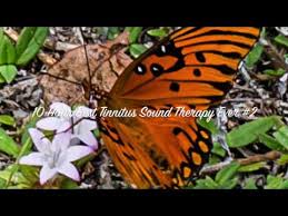 10 Hour Best Tinnitus Sound Therapy Ever 2 Youtube