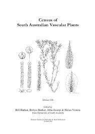 Image result for Prismatocarpus cordifolius