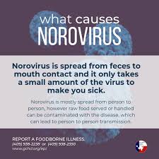 Being in close contact with a person who has a norovirus infection noroviruses are difficult to kill off because they can withstand hot and cold temperatures and most disinfectants. Norovirus Is Very Galveston County Health District Facebook