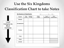 Classification Instructional Approach S The Ppt Is