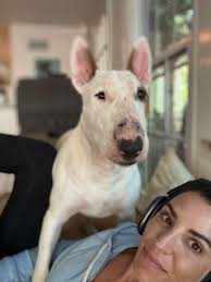 United Saving Animals...