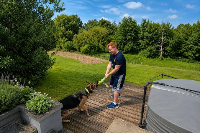 Pet Owners Urged To Book Christmas Care Early As Festive Demand Grows