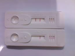 Cow Pregnancy Test Human Pregnancy Card Manufacturer From Kochi