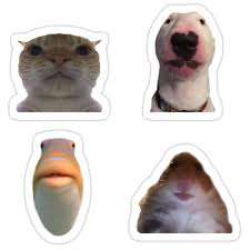 The Elder Council Sticker Meme Stickers Fun Stickers Cool Stickers