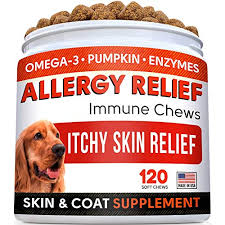 Check spelling or type a new query. Top 10 Best Baths For Dogs With Reviews Dogvills