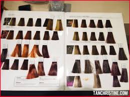 inoa hair color chart 2019 keune tinta color chart pdf