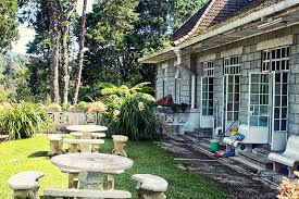 Check spelling or type a new query. Ausflug In Die Cameron Highlands Travelisto Familien Reiseblog