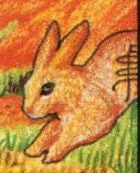 What is your spirit animal? Rabbit Symbolism In The Tarot Janet Boyer Creates