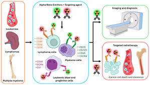 Image result for Hematologic Cancer