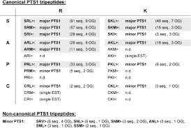 Apr 28, 2017 · peroxisome definition. Definition Of Major And Minor Pts1 Tripeptides Of Peroxisomal Proteins Download Scientific Diagram