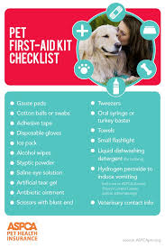 Pet First Aid Basics Pets First Pet Health Pet Care Tips