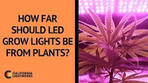 Electric sky 300 v3 wideband led grow light. How Far Should Led Grow Lights Be From Plants Faq Youtube