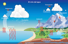 La transpiración de las plantas. Ciclo Del Agua Que Es Y Etapas Del Ciclo Con Imagenes