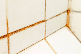 We did not find results for: How To Clean Rust Out Of Grout Grout Shield Grout Restoration System Grout Cleaner