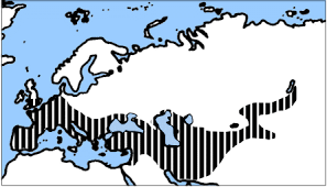 Neandertaler gelten oft als grobschlächtig und doof. Unser Afrikanischer Ursprung Okosystem Erde