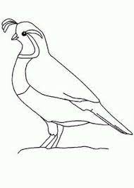 A close relative to the quail. Quail Quail Outline Coloring Page Bird Drawings Bird Outline Coloring Pages