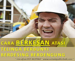 Kerana itu seseorang individu tidak sedar bahawa setiap orang sebenarnya mengalami keadaan telinga berdesing. My Health Venture Cara Berkesan Atasi Telinga Berbunyi Berdesing Berdengung