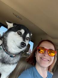 Lost Dog: Border Collie near Fireweed and Eureka Street, Anchorage