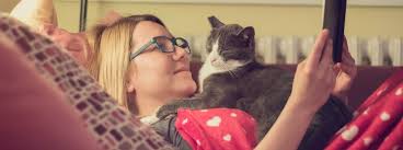 If you are a cat lover, you might be interested to read the following ten fun facts about cat eyes. Can Cats See In The Dark Cat Night Vision Facts Purina