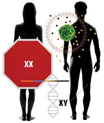 They are also fiercely loving and loyal towards the people closest to them, making them great romantic partners once you break. A Reason Why Cancer Is Less Common In Women Harvard Magazine