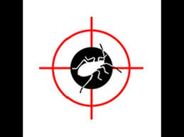If you see these tubes, contact a pest control company to identify. Bugpro Intro Video Mp4 Youtube
