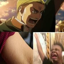 When Erwin Was Yelling Anime Fans Centre Animiaz Facebook