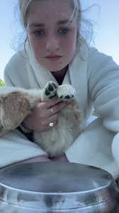 Goose wasnt so happy about this #viral #goldenretriever #puppy