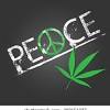 Nevada (and with it, las vegas) has legalized recreational marijuana. Https Encrypted Tbn0 Gstatic Com Images Q Tbn And9gcqcit5x0b Mo16iz36hukd0klj5vhyqumbcjk8euiw3adychl6e Usqp Cau