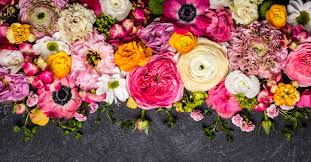 So unless you want to send your beloved into wild fits of yawning, you better think quick. Best Alternatives To Valentine S Day Roses Floraqueen