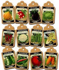 Instant Download Vegetable Seed Packets Vintage Art Hang Gift Etsy In 2021 Vegetable Seeds Packets Vegetable Seed Seed Packets
