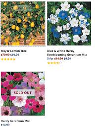 Check spelling or type a new query. Top 40 Online Stores For Buying Geranium Plants And Seeds Garden Tabs