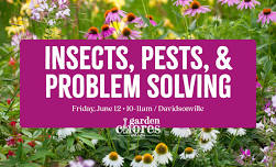 Garden Chores & Coffee: Garden Insects, Pests & Problem Solving