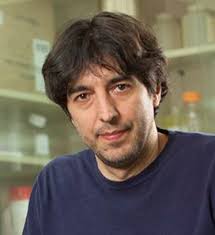 Fasting-mimicking diet holds promise for treating people with inflammatory  bowel disease, USC study finds