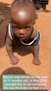 Marcus Bachelor Abandon Story