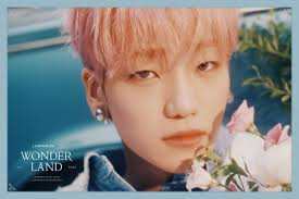 LUMINOUS Members Profile (Updated!)