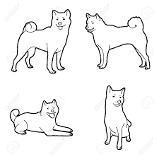 Then draw the guides for the paws which should also be circles. Shiba Inu Animal Vector Illustration Hand Drawn Cartoon Art Royalty Free Cliparts Vectors And Stock Illustration Image 139741931