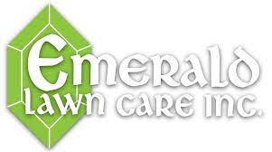 Emerald lawn care near me. Rolling Meadows Lawn Care Company And Lawn Care Service Lawn Care Northwest Chicago Suburbs Pest Control Tree Care And Shrub Care Lawn Care Servicing Rolling Meadows Arlington Heights Des Plaines Barrington South