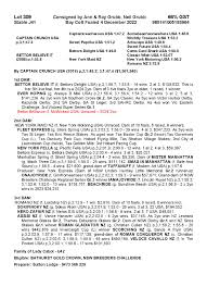 2024 Sydney Yearling Sale