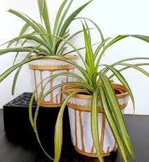 Get free shipping on qualified plastic, drainage holes plant pots or buy online pick up in store today in the outdoors department. Painting Plastic Pots How To Jazz Up Your Planters One Brick At A Time