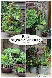 Patio Vegetable Garden Setup And Tips To Get Growing Small Vegetable Gardens Food Garden Sustainable Garden