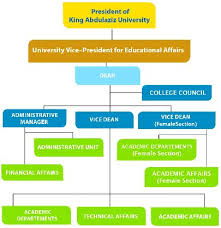 College Of Business Cob Organizational Structure Of