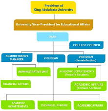 college of business cob organizational structure of