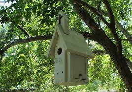 Find bluebird houses, unique bird boxes and birdhouse gourds for your backyard. Church Birdhouse Plans Bird House Plans That Resemble A Country Style Church