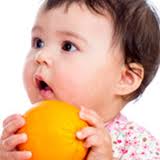 American Famous People with Name Sears, Famous Celebrity Named Sears