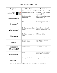 The following table of functions of cell organelles is a list of short summary information for each organelle. The Inside Of A Cell Organelle Structure Function