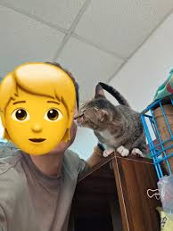 想請求🙏🏻元朗義工救救元朗貓b －隻| Facebook