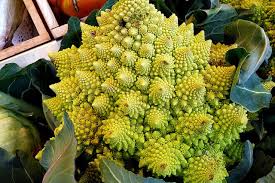 イタリア野菜人気の種類10選 種の販売 料理レシピ 農業 ガーデニング 園芸 家庭菜園マガジン Agri Pick