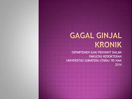 Pdf drive investigated dozens of problems and listed the biggest global issues facing the world today. Gagal Ginjal Kronik