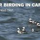 Winter Birding in Cape May event image